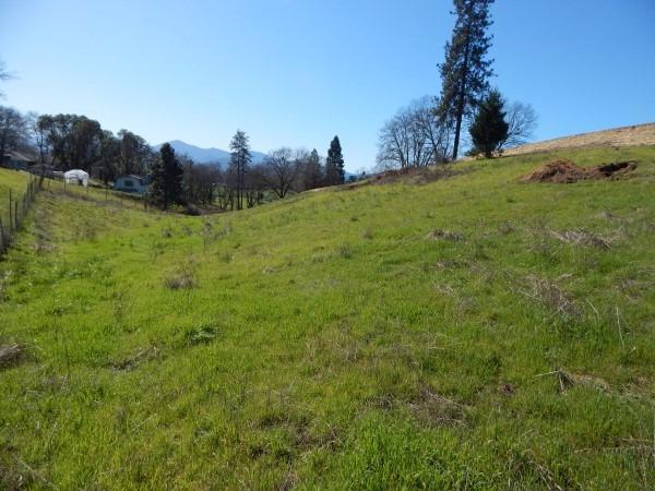 3314 Upper River Road Grants Pass, OR 97526 - Photo 13 of 22 a view of a field with a tree in the background