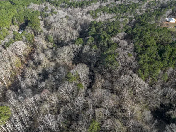 $359,000 | 110 Scr 129, Mendenhall, MS 39114