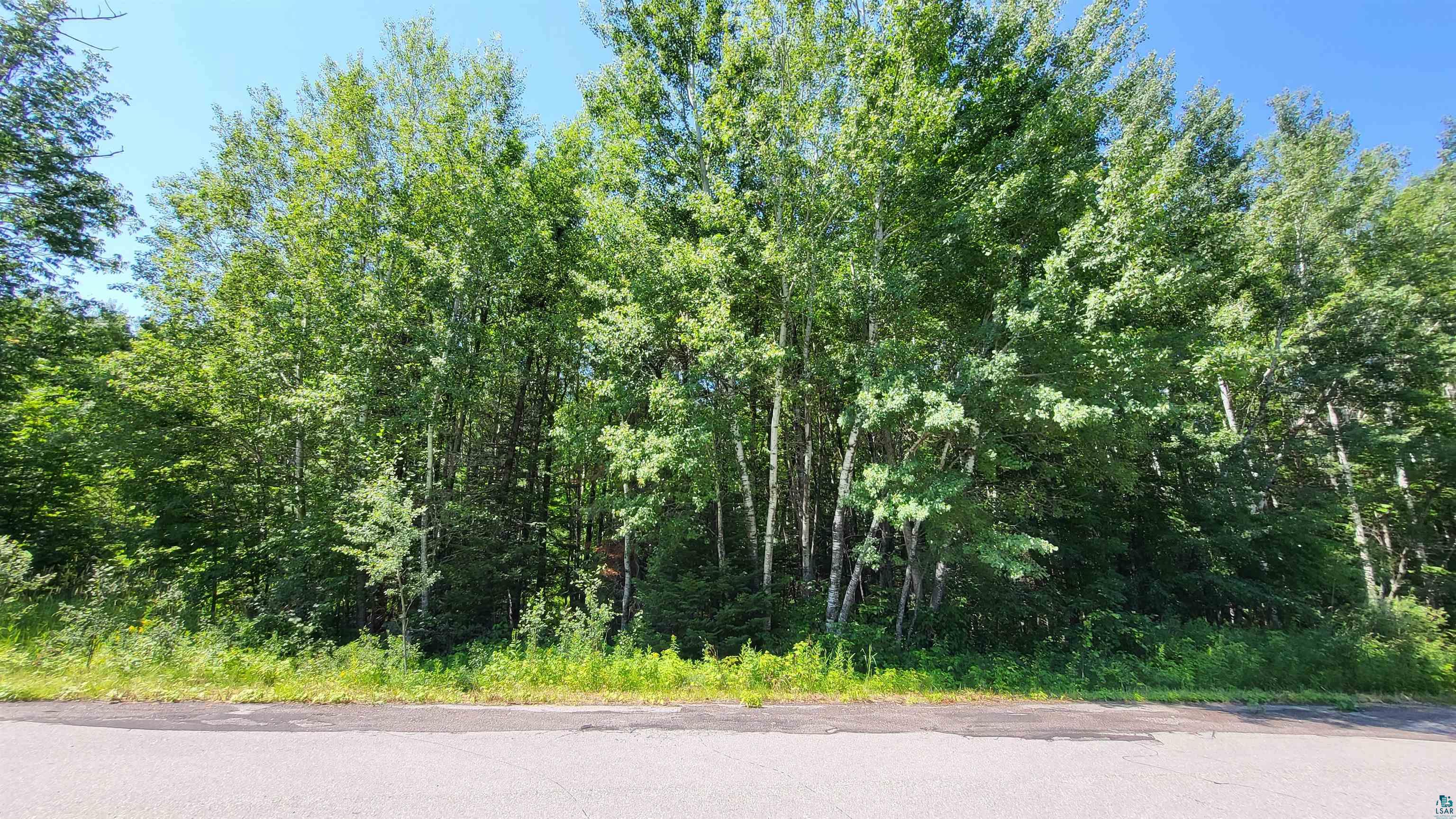 Xx10 Lund Road Cook, MN 55723 - Photo 6 of 15 Gallery Image 6