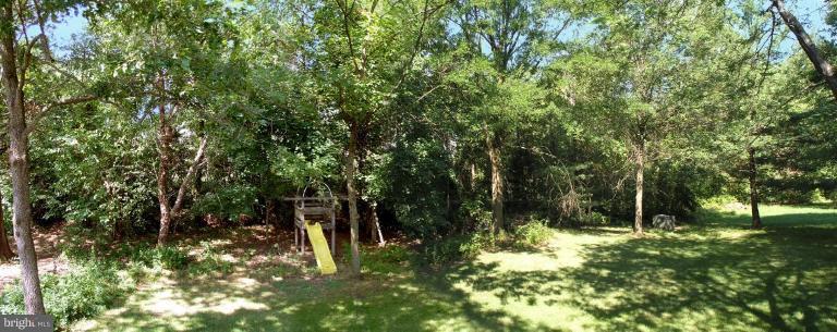 12611 Bayard Drive Reston, VA 20191 - Photo 3 of 30 Back yard