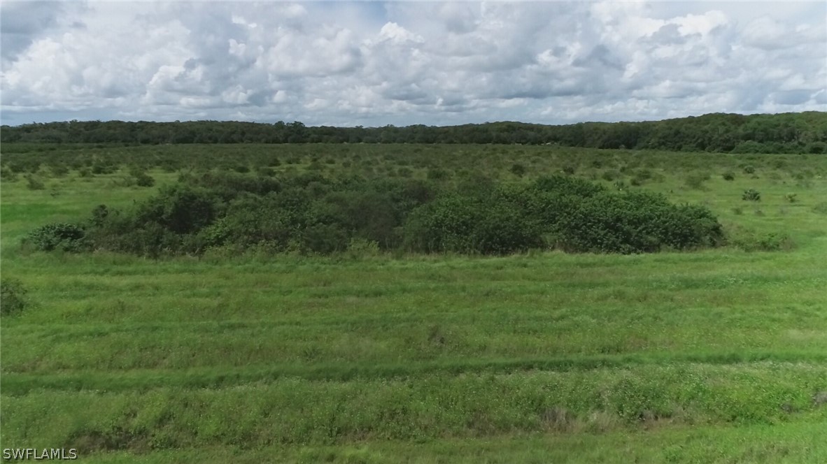 25475 Tom Coker Road LaBelle, FL 33935 - Photo 4 of 10 Gallery Image 4