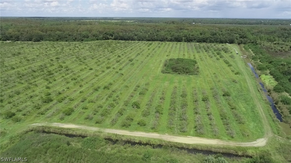 25475 Tom Coker Road LaBelle, FL 33935 - Photo 7 of 10 Gallery Image 7