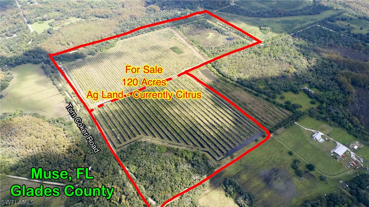 25475 Tom Coker Road LaBelle, FL 33935 - Photo 9 of 10 Gallery Image 9