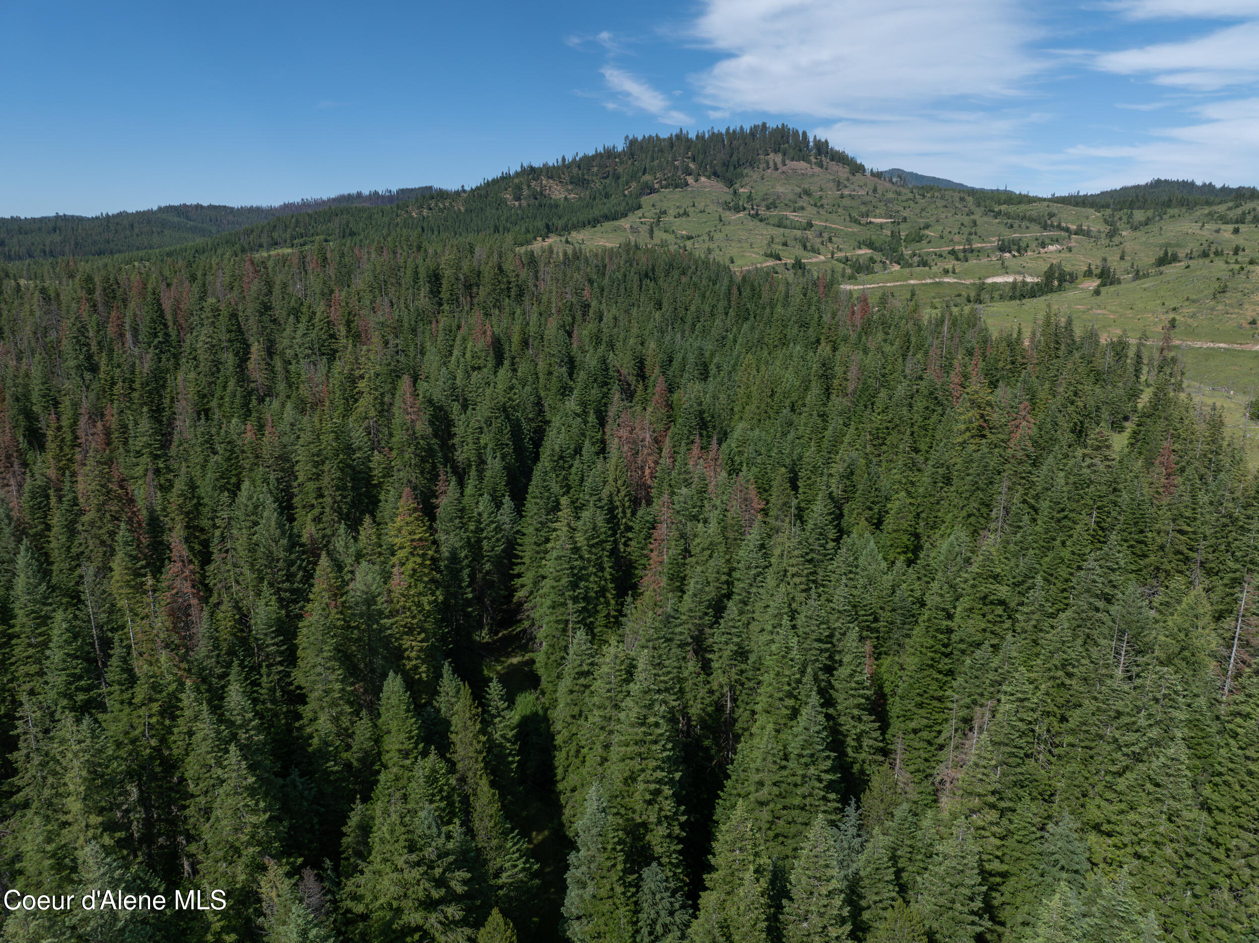 6 Harvard Id 83834 Harvard, ID 83834 - Photo 14 of 32 Cow Creek Tweedy (16 of 29)