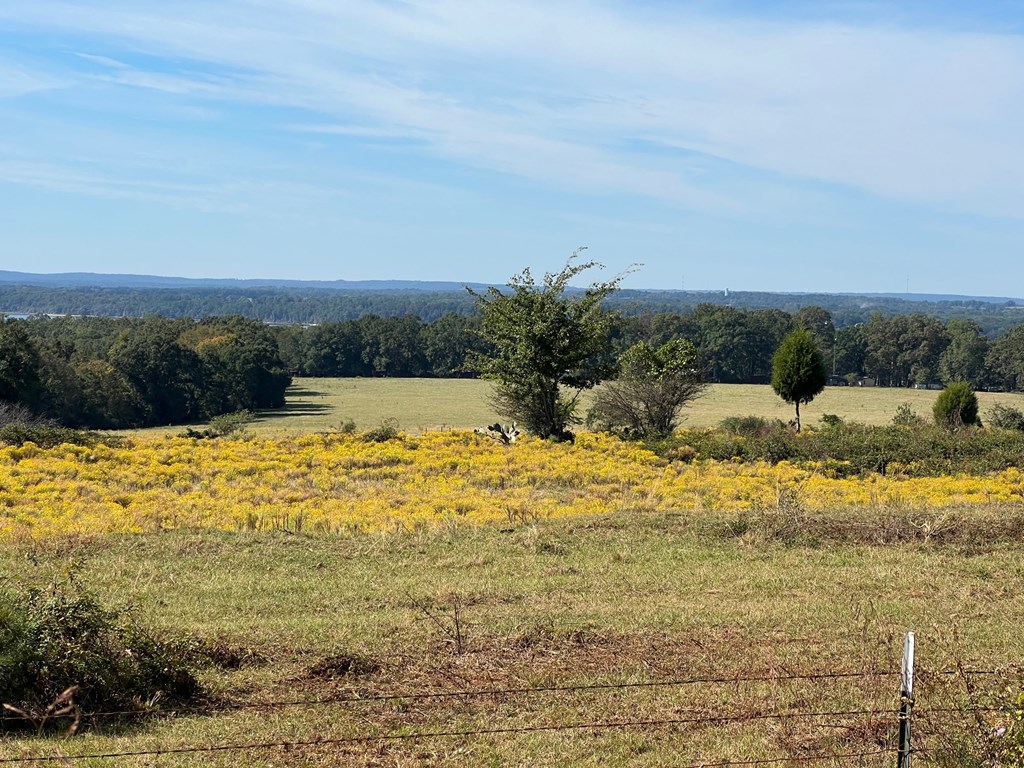 327 Deer Point Road Georgetown, GA 39854 - Photo 8 of 10