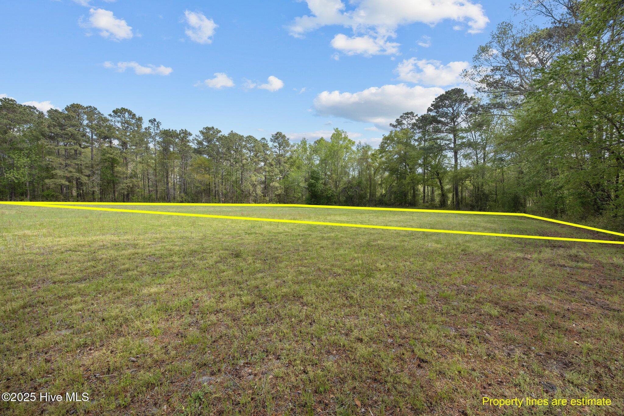 L12 Five Mile Road Richlands, NC 28574 - Photo 1 of 4 Land
