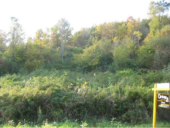 0 Gage Road Owego, NY 13827 - Photo 1 of 4 Gallery Image 1