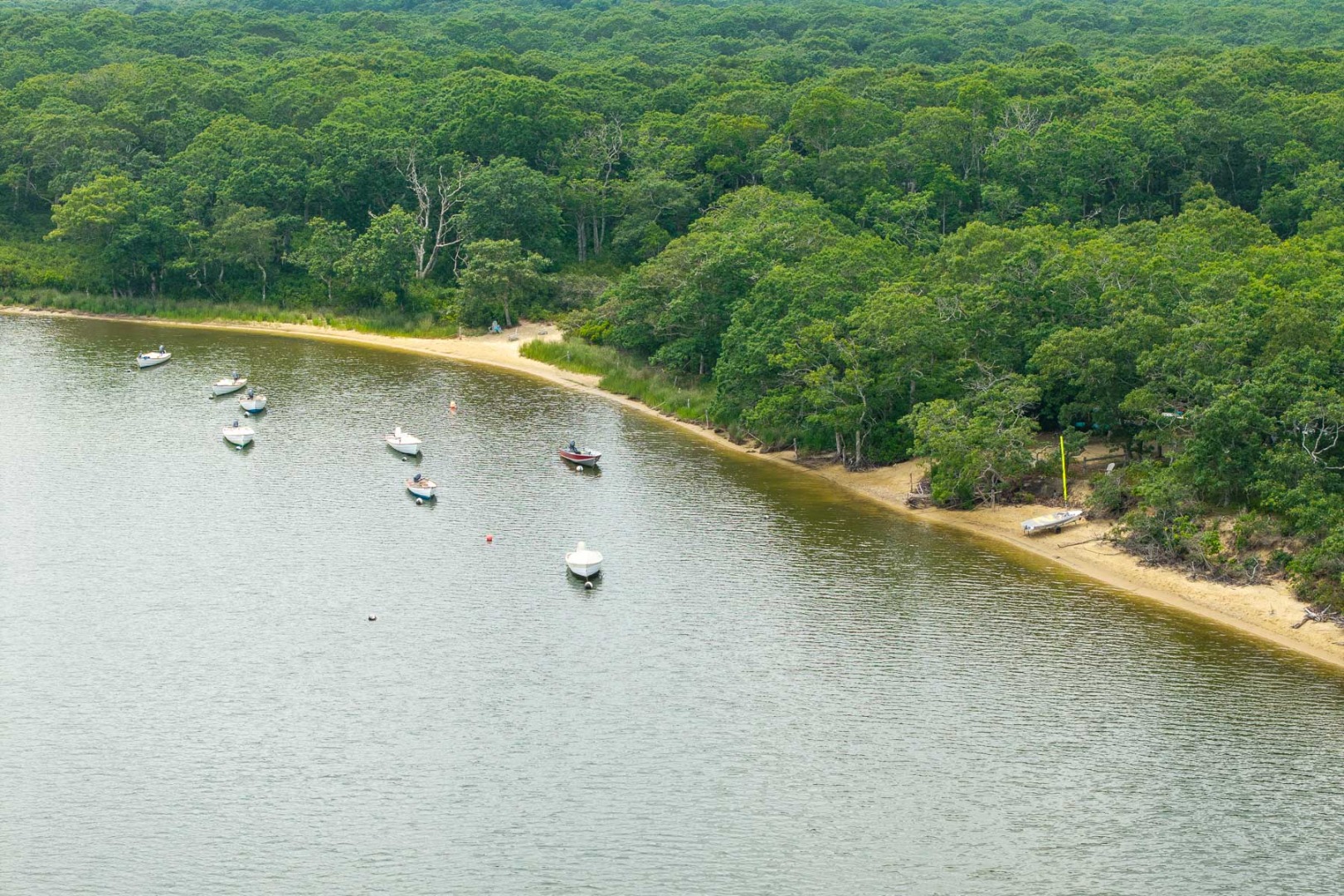 6 Jane's Cove Road Edgartown, MA 02539 - Photo 72 of 77