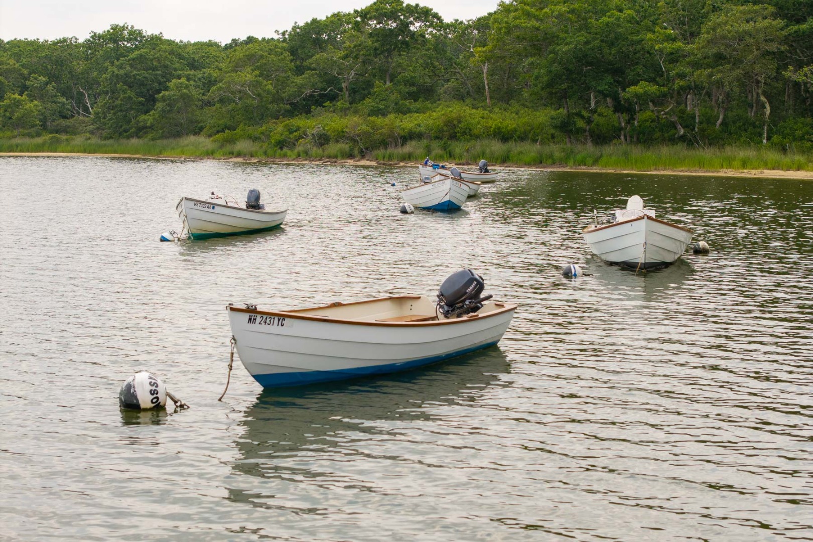 6 Jane's Cove Road Edgartown, MA 02539 - Photo 73 of 77