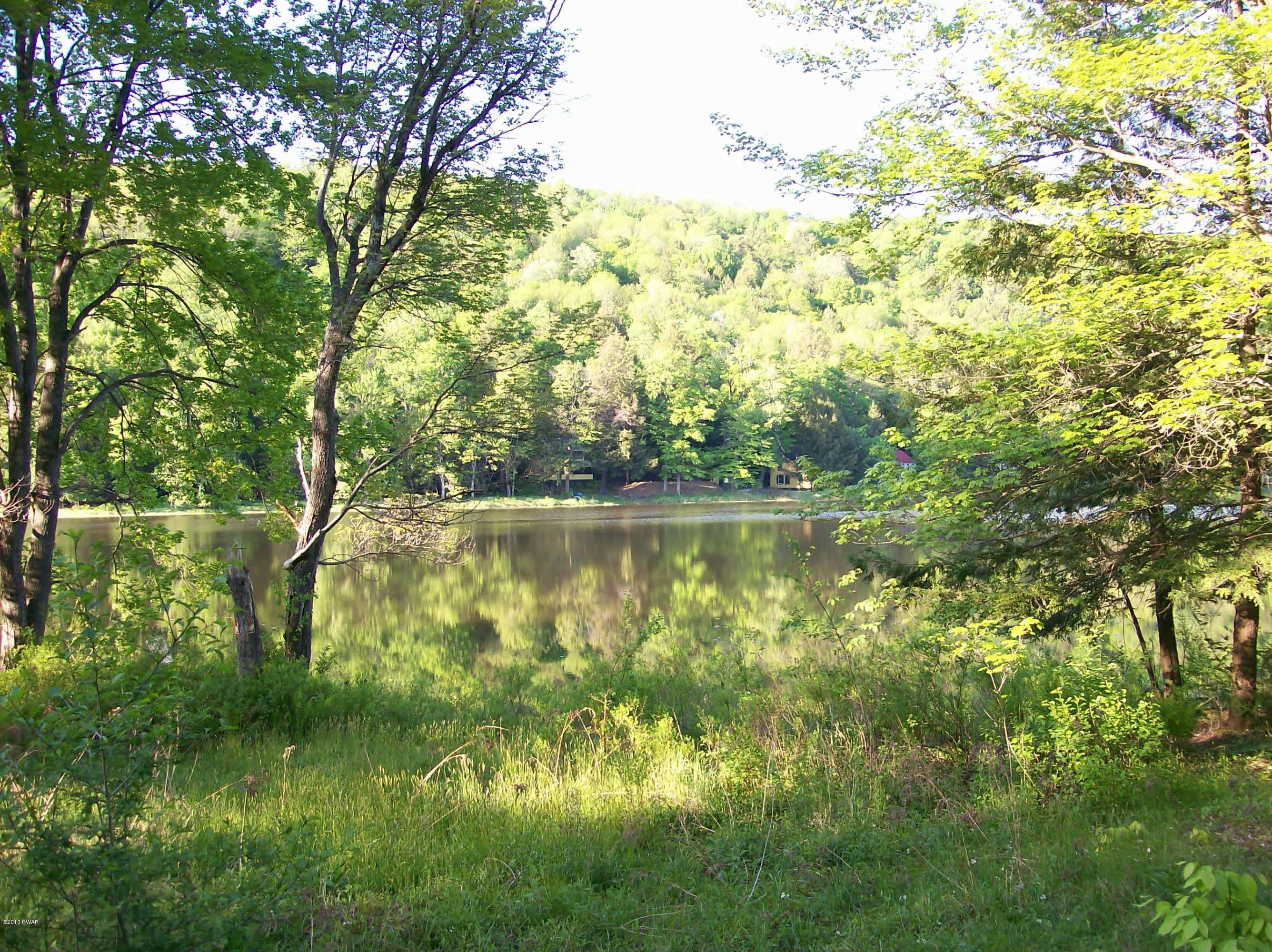 Starlight Lake Road Starlight, PA 18461 - Photo 5 of 8