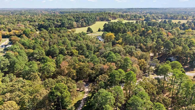 a big yard with lots of green space and trees