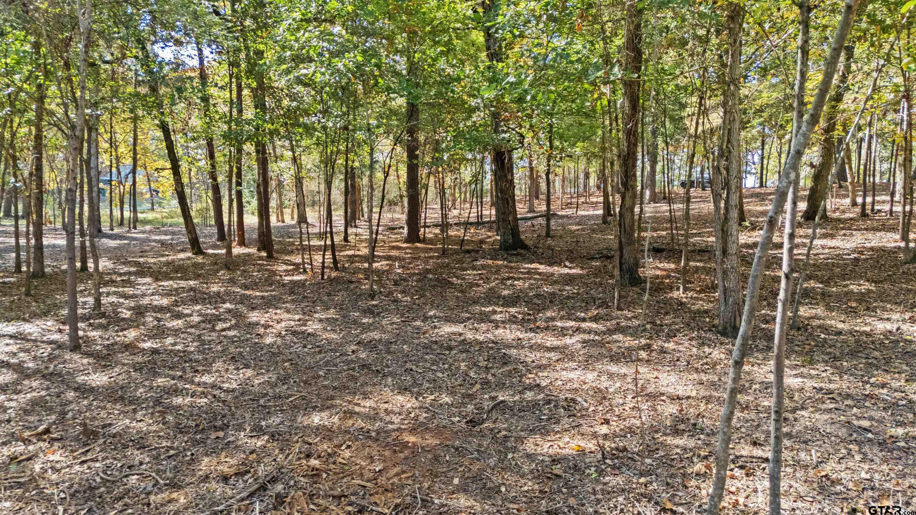 Tbd Hickory Trail Flint, TX 75762 - Photo 12 of 15 a big yard with lots of green space and trees