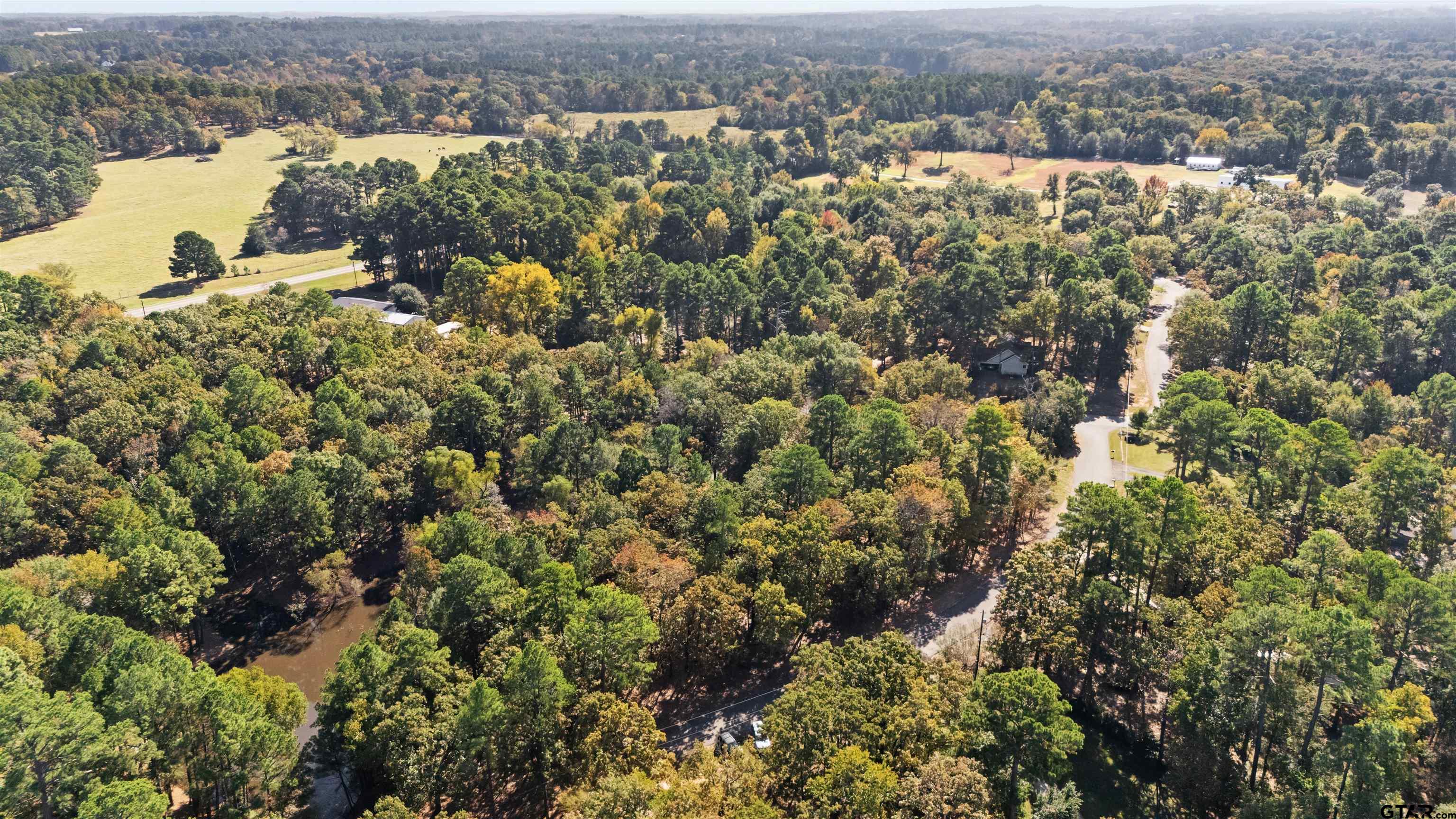 Tbd Hickory Trail Flint, TX 75762 - Photo 12 of 15 an aerial view of a houses with a outdoor space