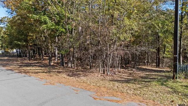 a view of outdoor space with trees