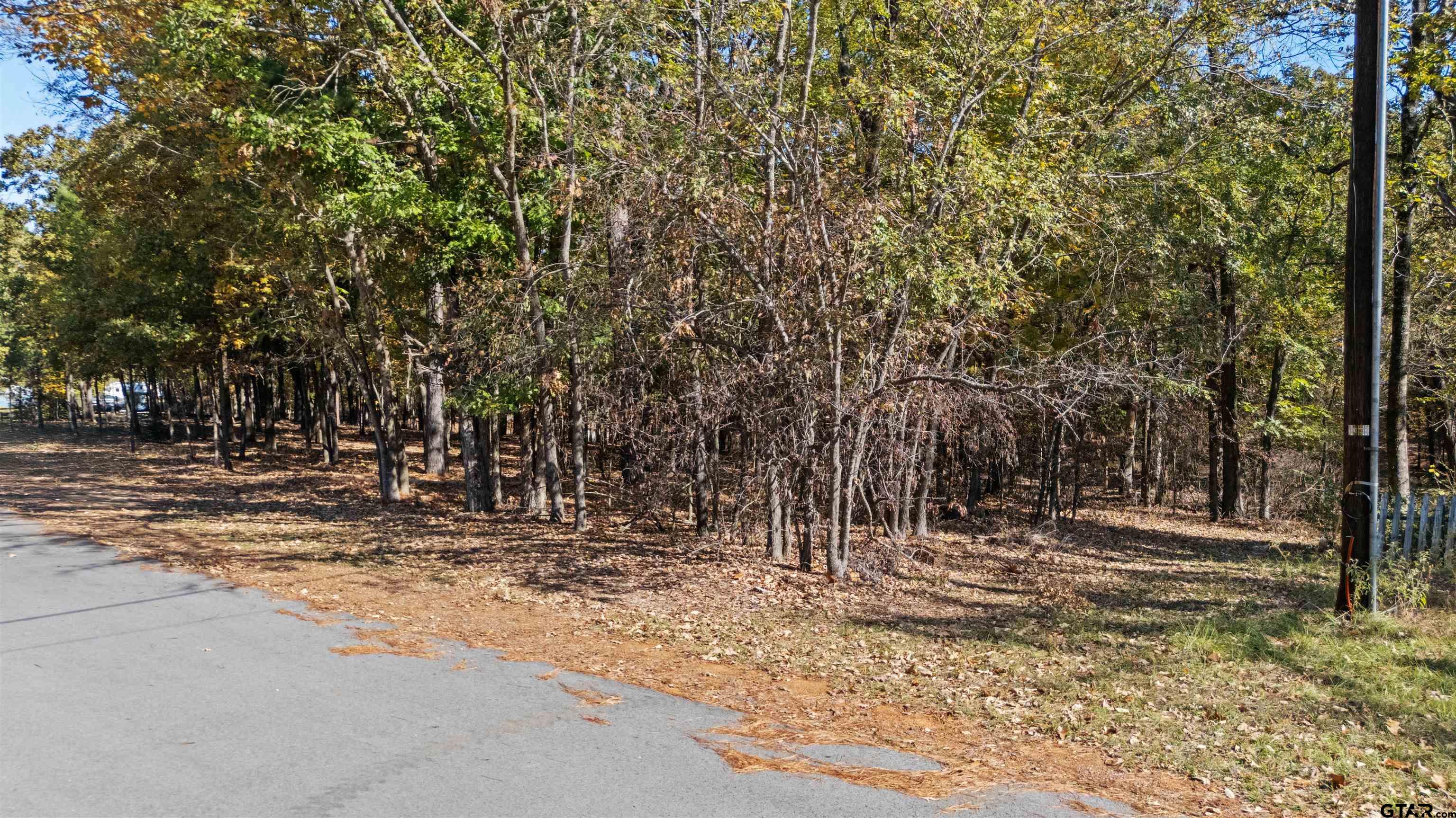 Tbd Hickory Trail Flint, TX 75762 - Photo 14 of 15 a view of outdoor space with trees
