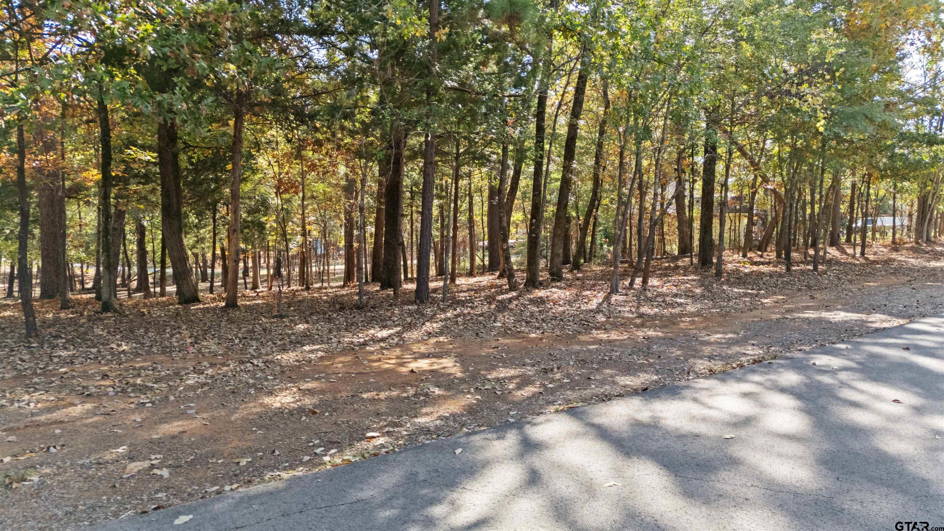 Tbd Hickory Trail Flint, TX 75762 - Photo 15 of 15 a view of outdoor space with trees