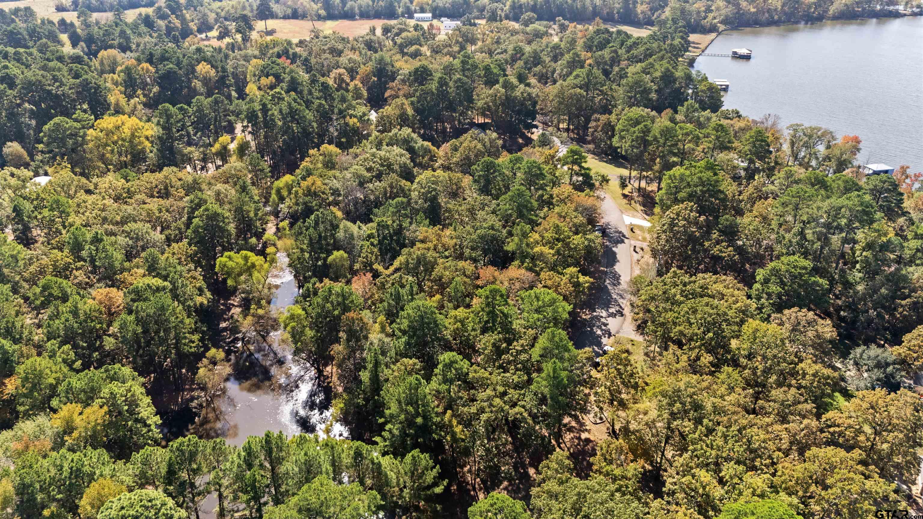 Tbd Hickory Trail Flint, TX 75762 - Photo 3 of 15
