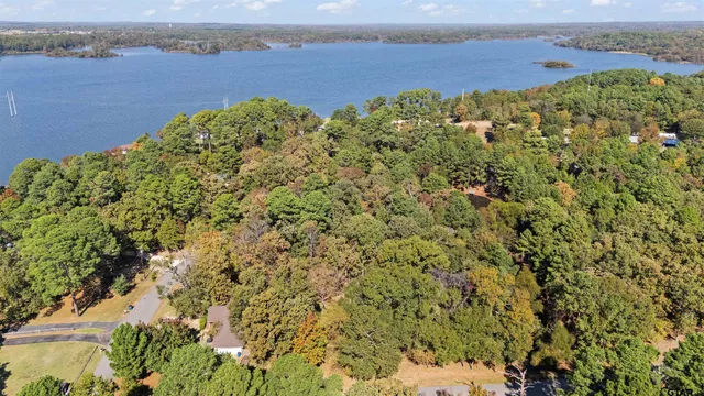 a view of a lake with plants and lake view
