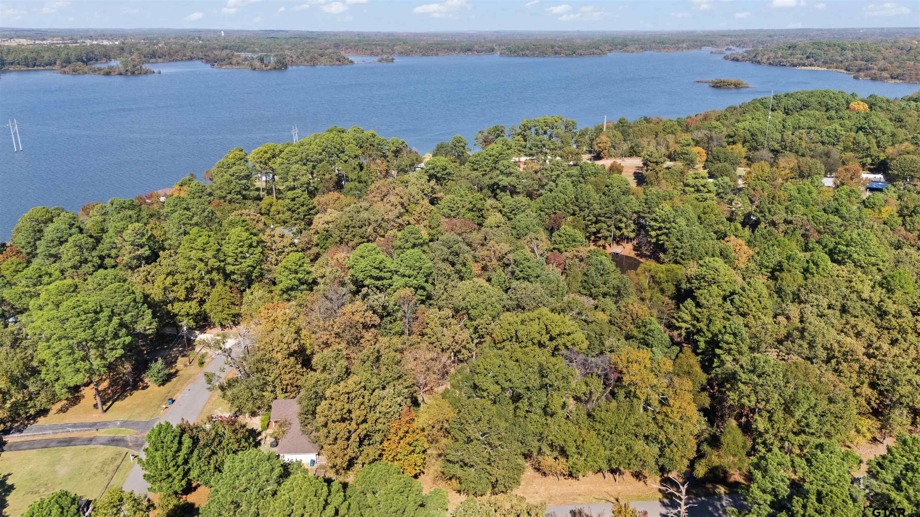 Tbd Hickory Trail Flint, TX 75762 - Photo 4 of 15 view of a lake with beach and mountain view