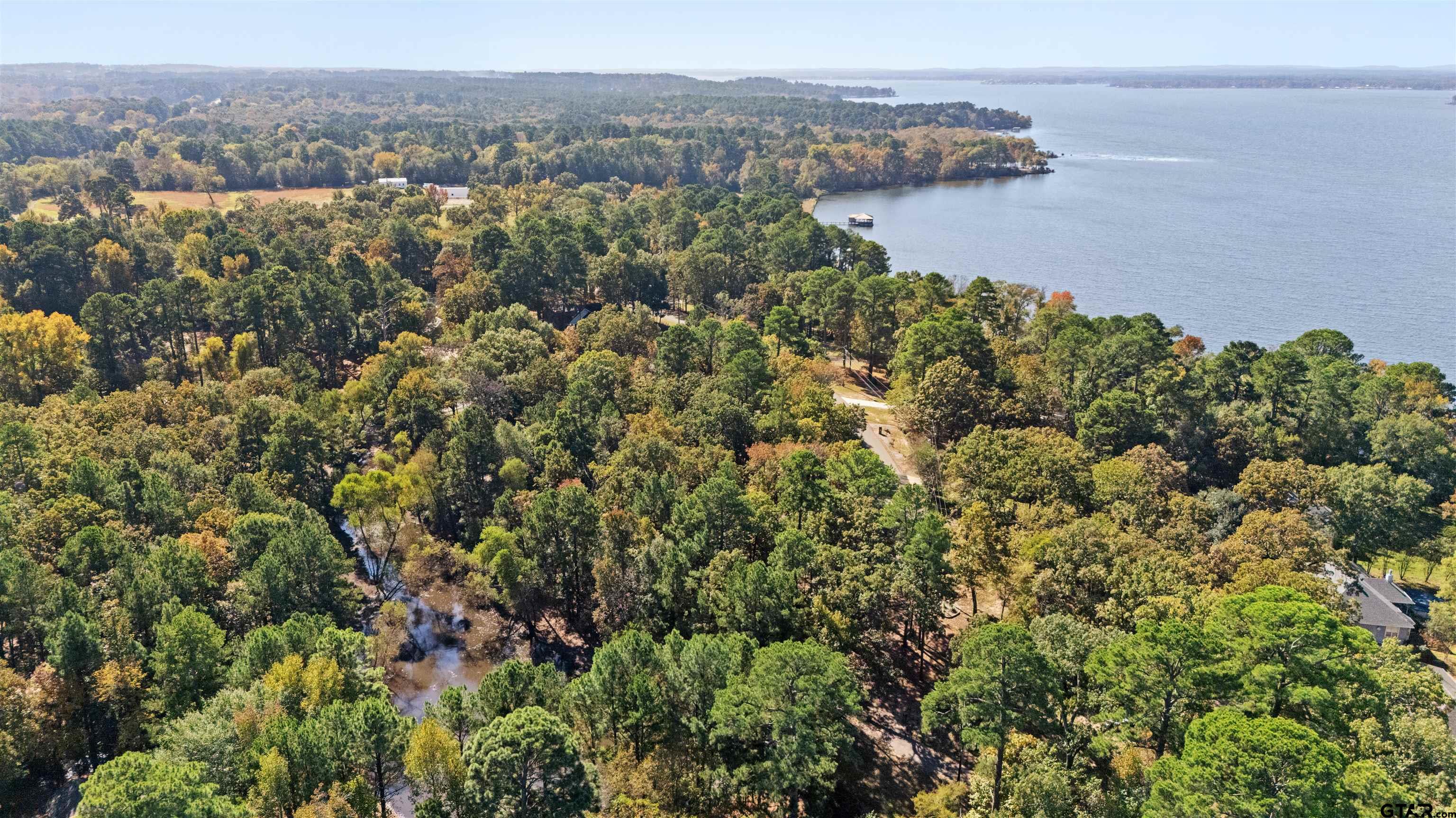Tbd Hickory Trail Flint, TX 75762 - Photo 5 of 15 an aerial view of a houses with a lake view