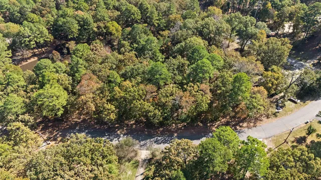 an aerial view of a houses with a lake view