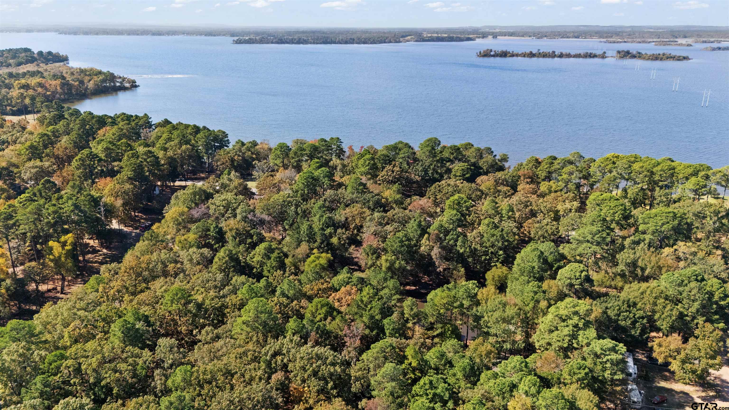 Tbd Hickory Trail Flint, TX 75762 - Photo 10 of 15 a view of a lake