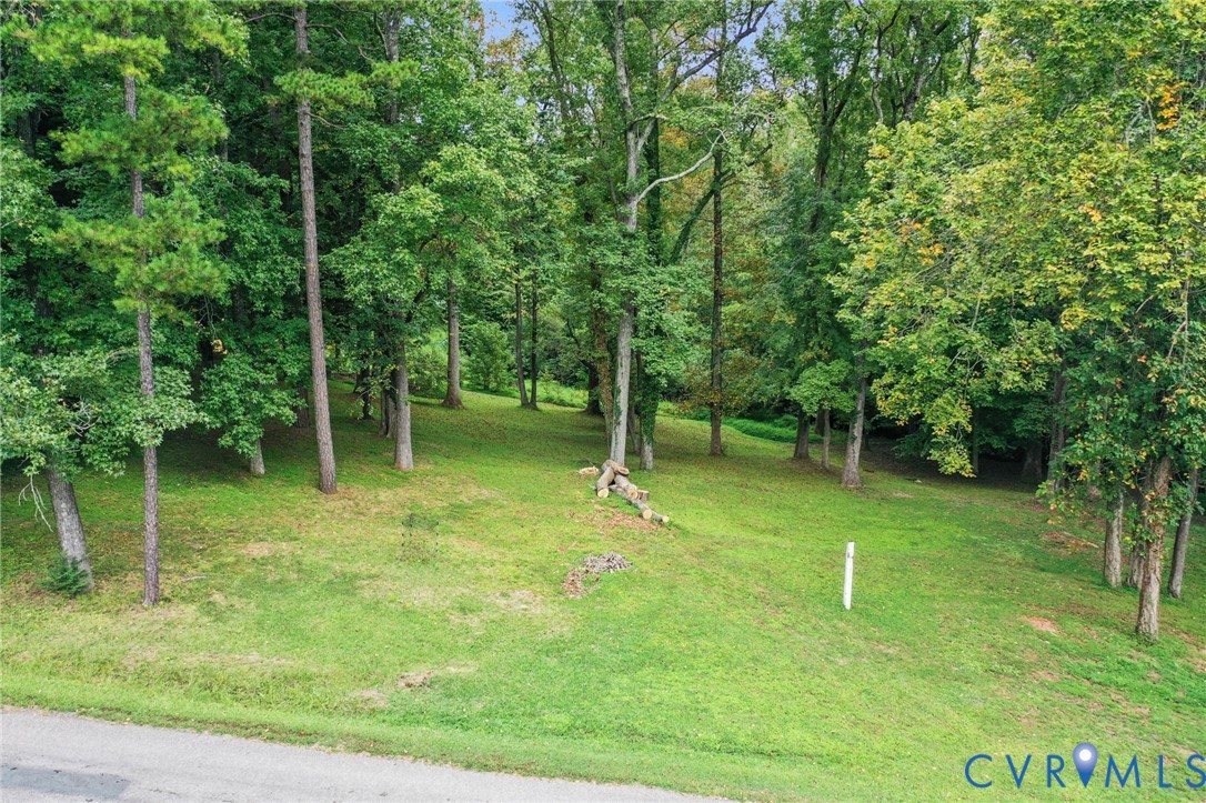 1625 4th Street Victoria, VA 23974 - Photo 48 of 49