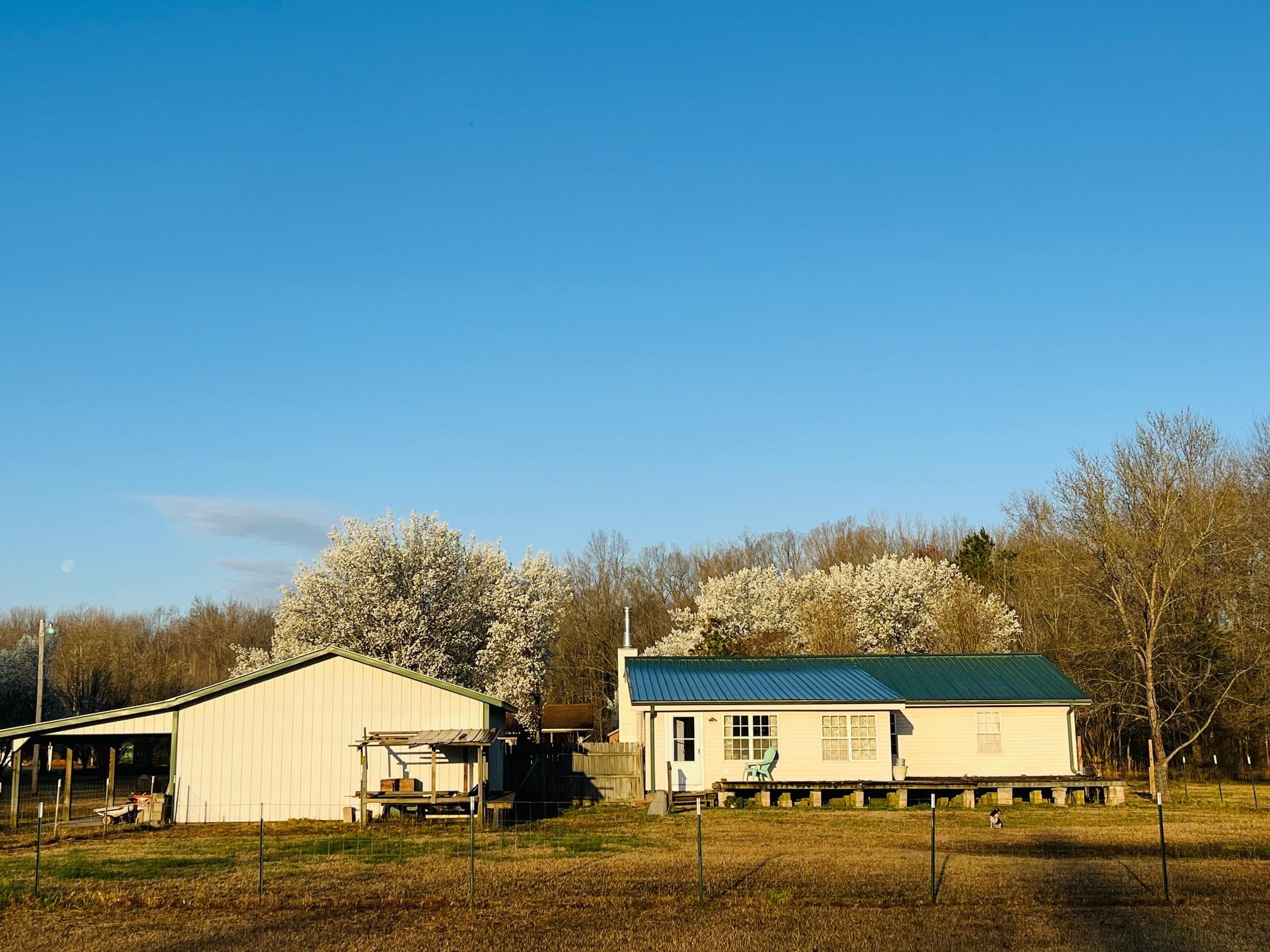 275 Fritton Spur Road Middleton, TN 38052 - Photo 13 of 31 Back of house featuring an outbuilding, a metal roof, and a pole building