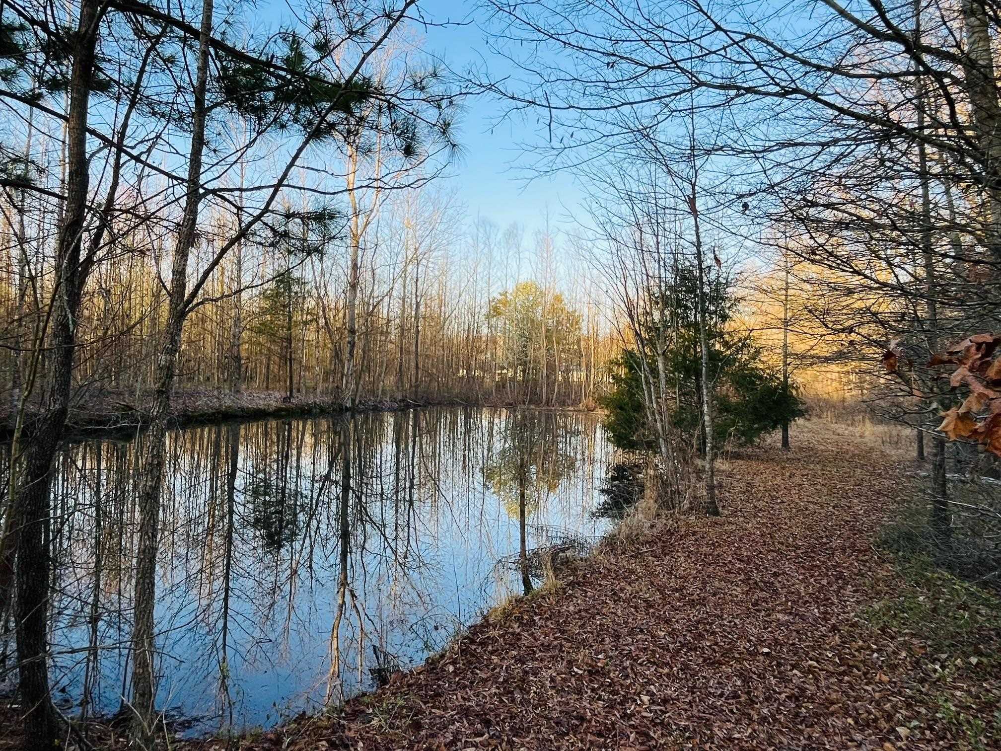 275 Fritton Spur Road Middleton, TN 38052 - Photo 28 of 31 Water view