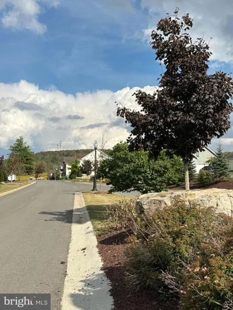 a view of a street with houses