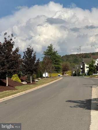 a view of a playground with a garden