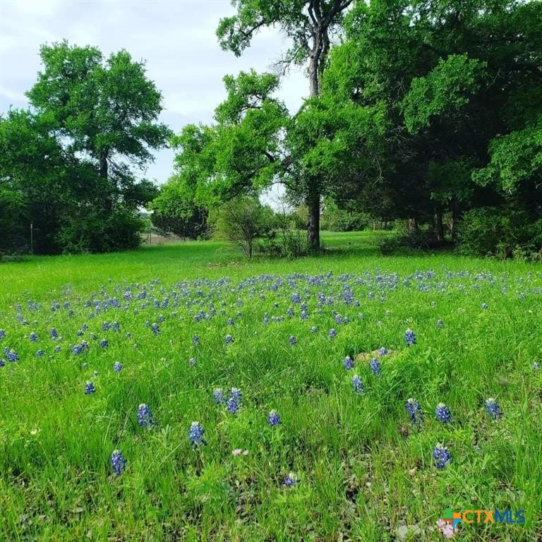 373 Winding River Road Killeen, TX 76549 - Photo 5 of 45