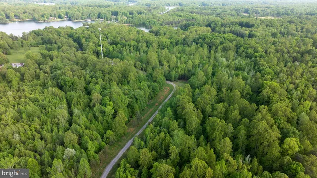 a view of a lush green forest with an outdoor space