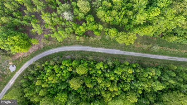 a view of a garden area