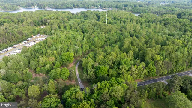 a view of a lush green forest with lots of trees
