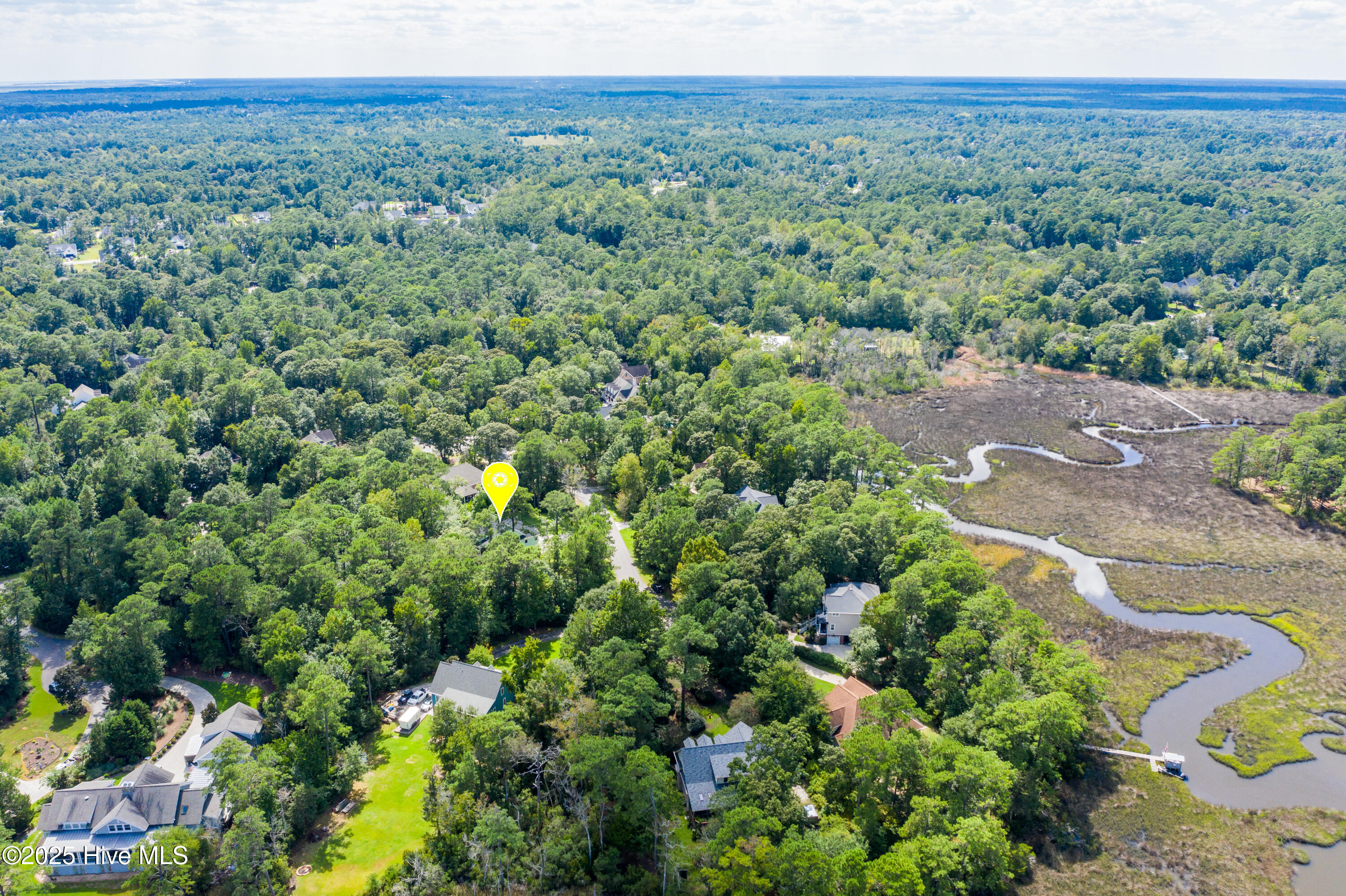 118 Canvasback Point Hampstead, NC 28443 - Photo 62 of 72 59
