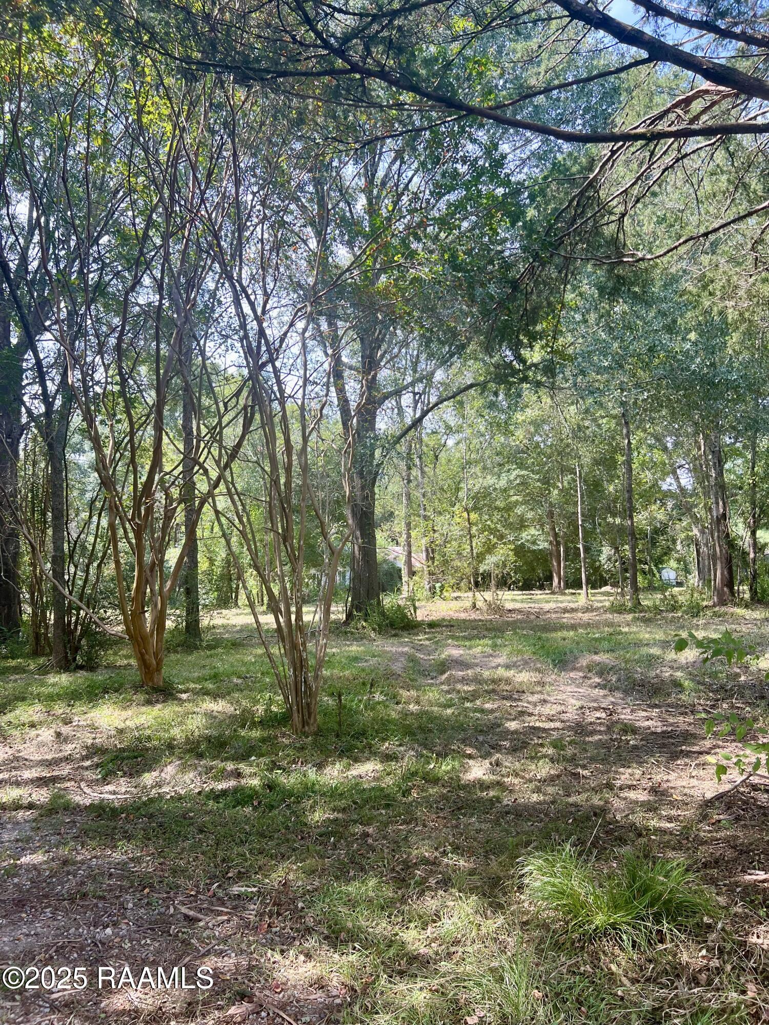 286 Patty Street Opelousas, LA 70570 - Photo 2 of 8 IMG_3752