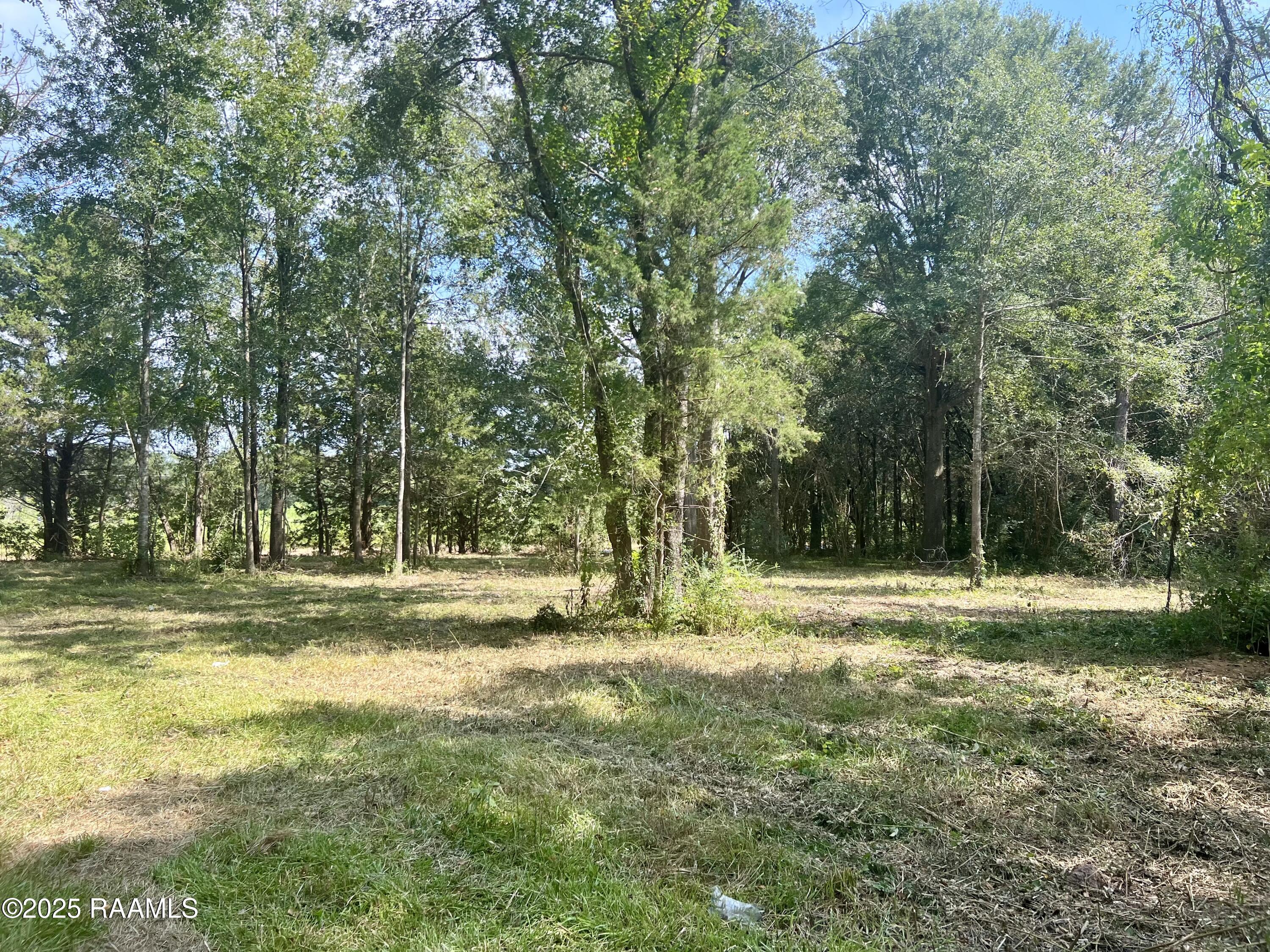 286 Patty Street Opelousas, LA 70570 - Photo 3 of 8 IMG_3750