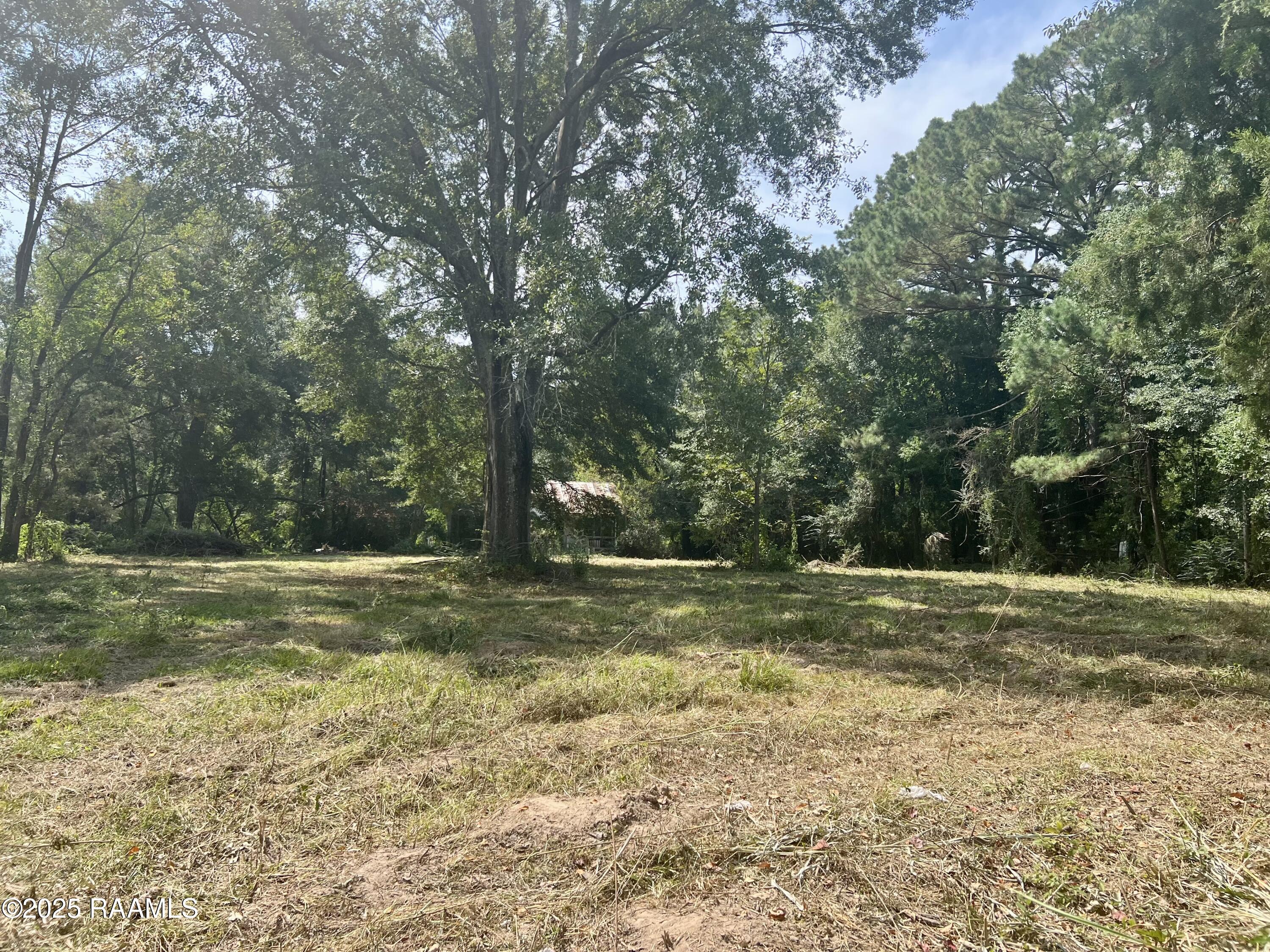 286 Patty Street Opelousas, LA 70570 - Photo 4 of 8 IMG_3746