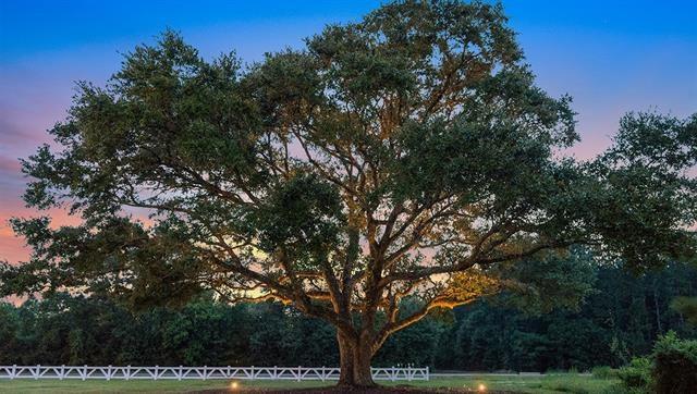 23083 Rosa Boulevard Robert, LA 70455 - Photo 6 of 7 Gallery Image 6