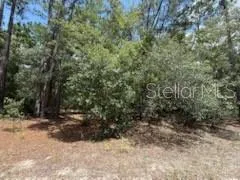 a view of a yard with trees