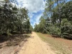a view of a yard with trees