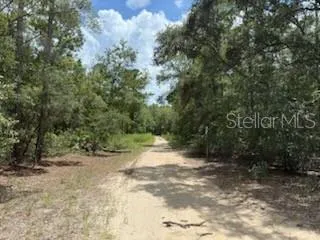 a view of a dirt road with trees in the background
