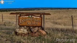 a view of a lake with a yard