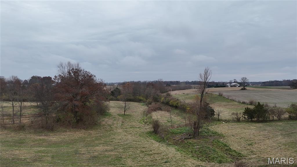 0 Celeste Estates Drive Waterloo, IL 62298 - Photo 8 of 11