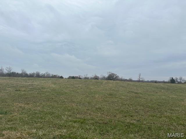 0 Celeste Estates Drive Waterloo, IL 62298 - Photo 10 of 11