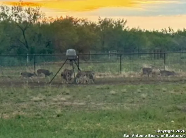 $669,000 | 858 Ranch To Market 187, Sabinal, TX 78881