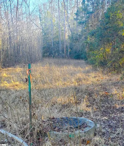 $3,250,000 | 0 Anderson Business Park, Williamston, SC 29697