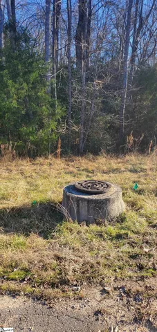 $3,250,000 | 0 Anderson Business Park, Williamston, SC 29697