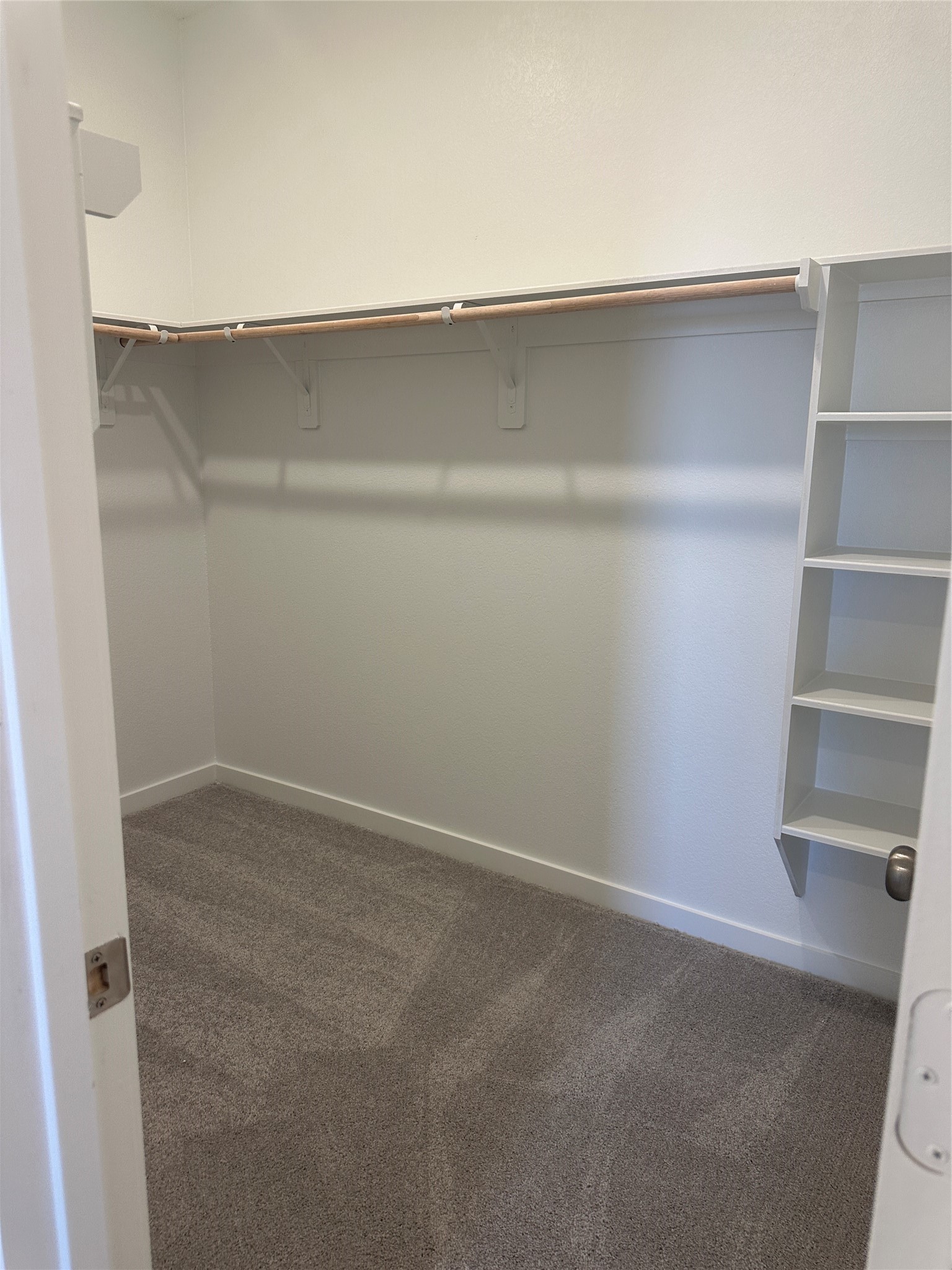 3124 Ruby Ridge Drive Katy, TX 77493 - Photo 11 of 12 a close view of closet